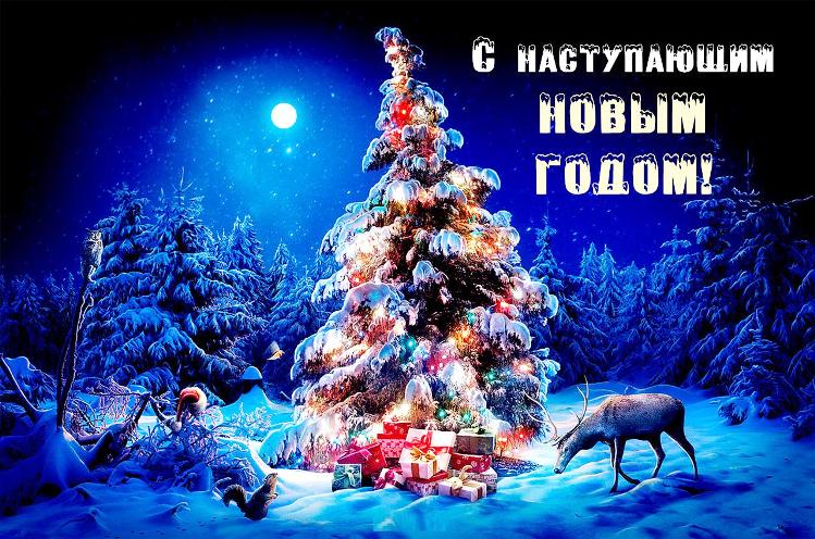 С наступающим Новым годом!